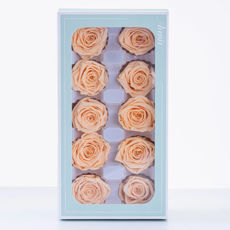 

Natural Preservation Rose B-Grade 10 Flowers Set, 3-4CM Eternal Flower, Essential for Valentine's Day and Mother's Day