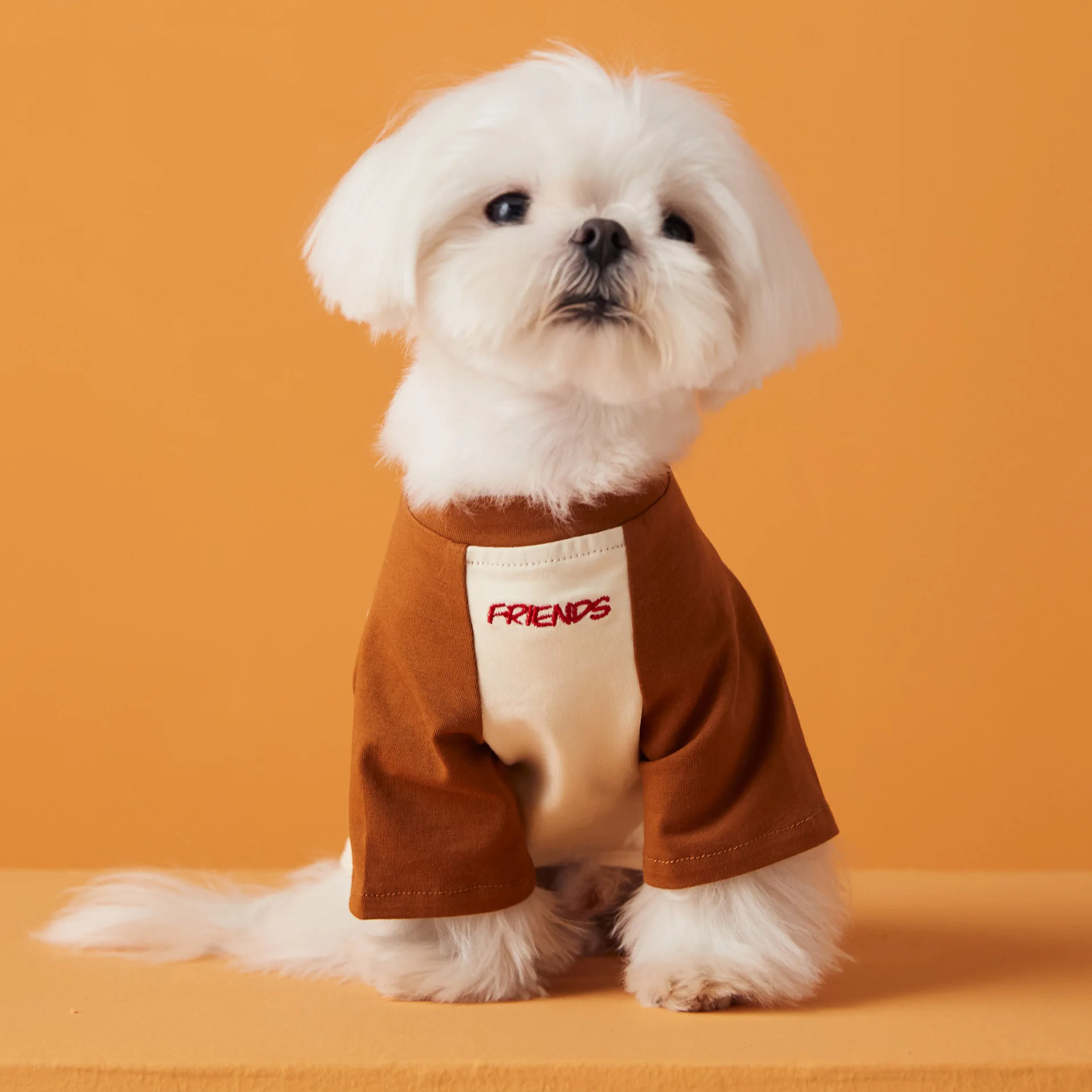 Ropa para perros Camiseta bordada Chihuahua Bichon Schnauzer