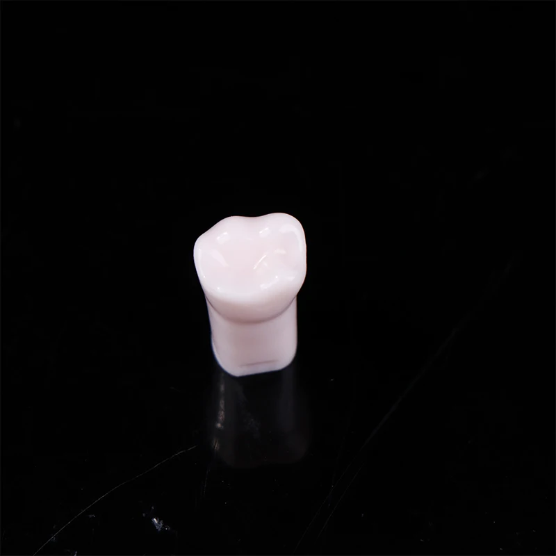 28/32pcs Dental Teeth Model For Dental Technician Practice Replacement Teeth For Nissin Models / Dental Simulator Head Model