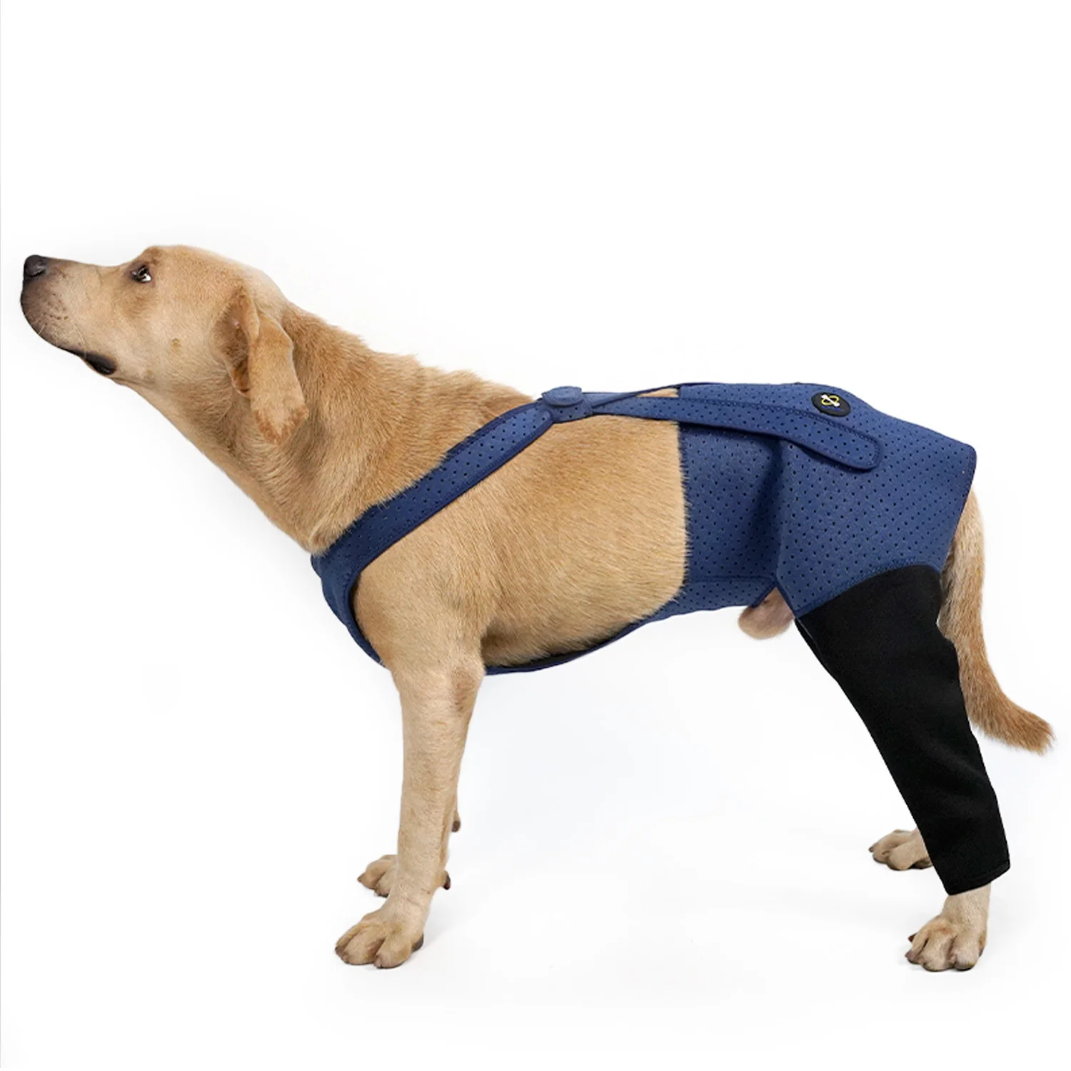 

COODEO Dog Recovery Sleeve Rear Legs Brace Anti-Licking S-XXL Thigh Wound Protective Sleeve Elbow Recovery Sleeve For Home