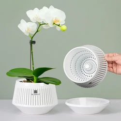 Meshpot Orchid Pot with Holes and Saucers Planter Pots for Repotting Plant Garden Pots for Indoor and Outdoor with Good Drainage