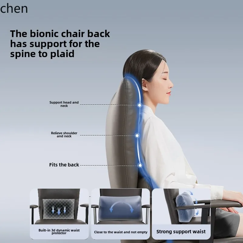 Wl Ergonomic Office…