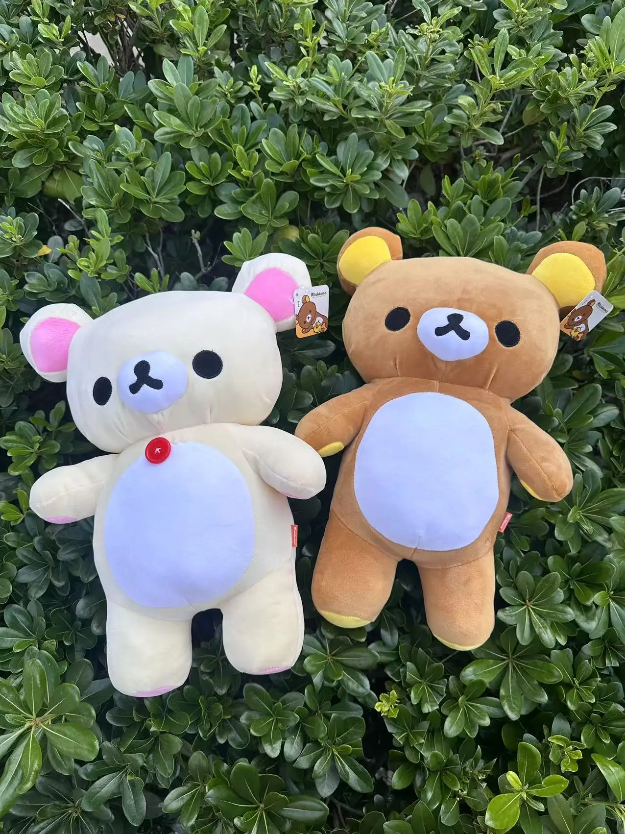 80CM Rilakkuma Plush Toy Teddy Bear Stuffed Animal Cartoon Pillow Kawaii Room Decor Cushion Children's Birthday Gifts Hobbies