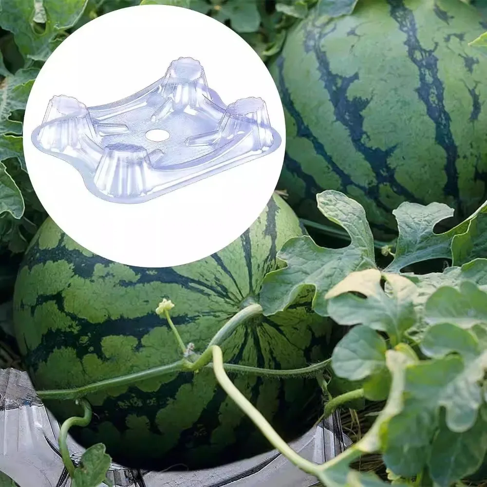20/50Pcs Plastic Watermelon Holder Transparent Anti-Rotten Design Plastic Planting Pad Thickened Round Groove Shape