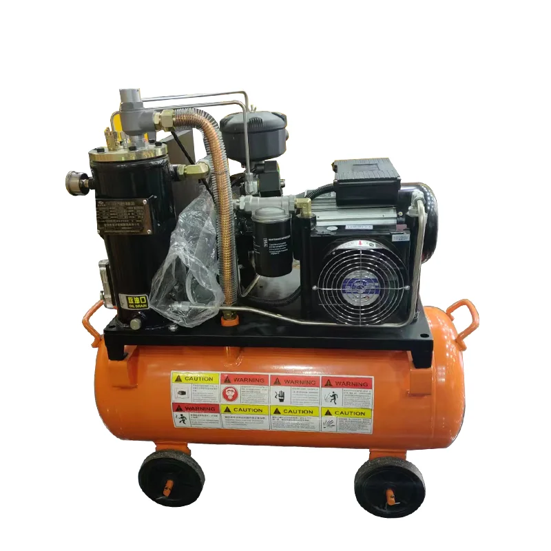1 Phase Small Compact Single Phase 220V 8 Bar~10 Bar 4 Kw 5.5  300L/Min Tank-Mounted VSD Rotary Screw Air Compressor