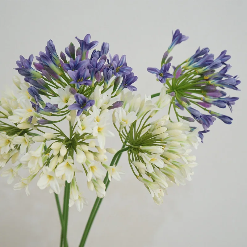 75 سنتيمتر Agapanthus الأفريقي الزهور الاصطناعية الفاخرة الطفل التنفس طويل الجذعية الزفاف المنزل الجدول غرفة ديكور الحفلات زهرة الفوشيه #1
