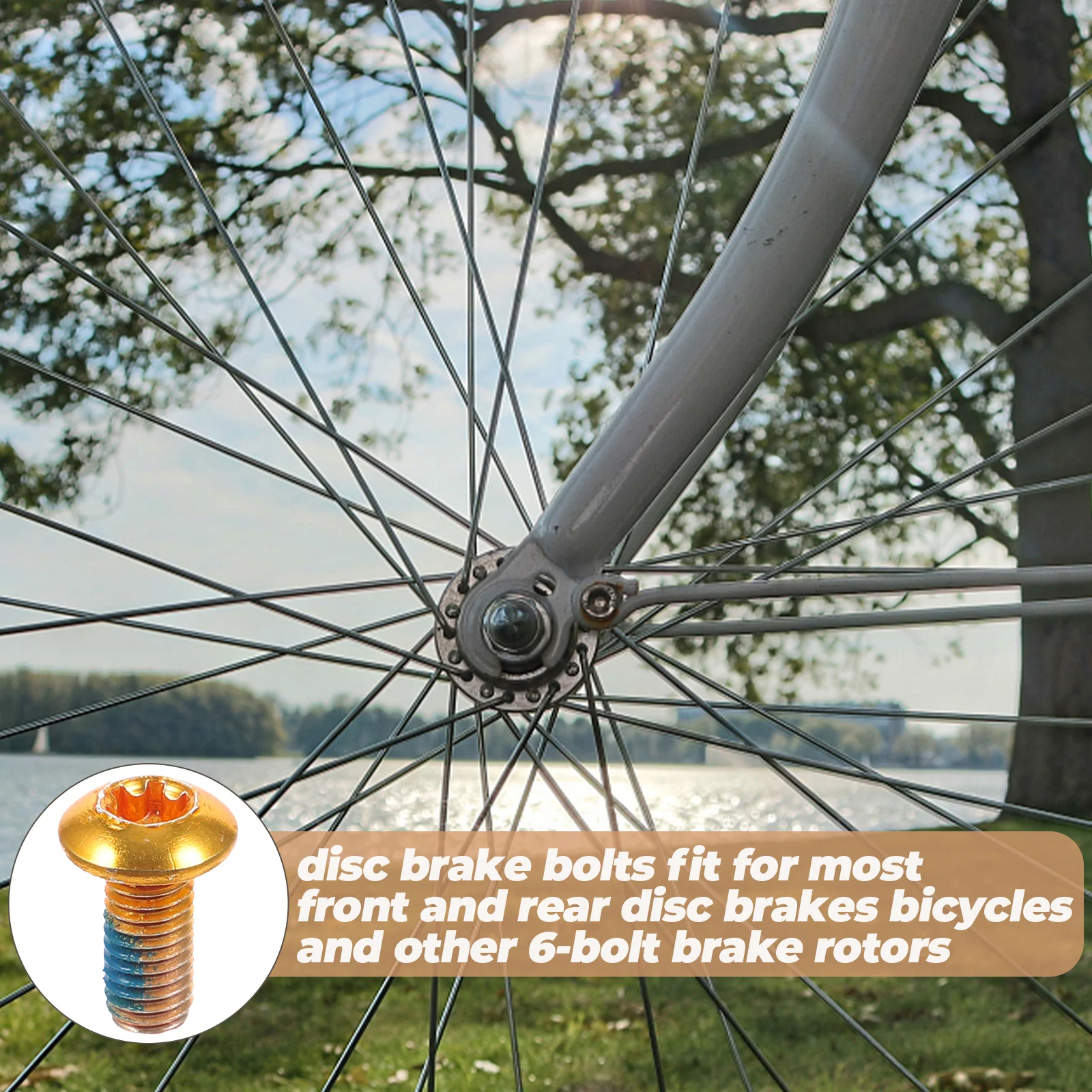 

Bicycle Screw Titanium Steel Brake Pad Screws 6-Bolt Rotor Fasteners For E-Bike Road Bike Rustproof Fixing Screws