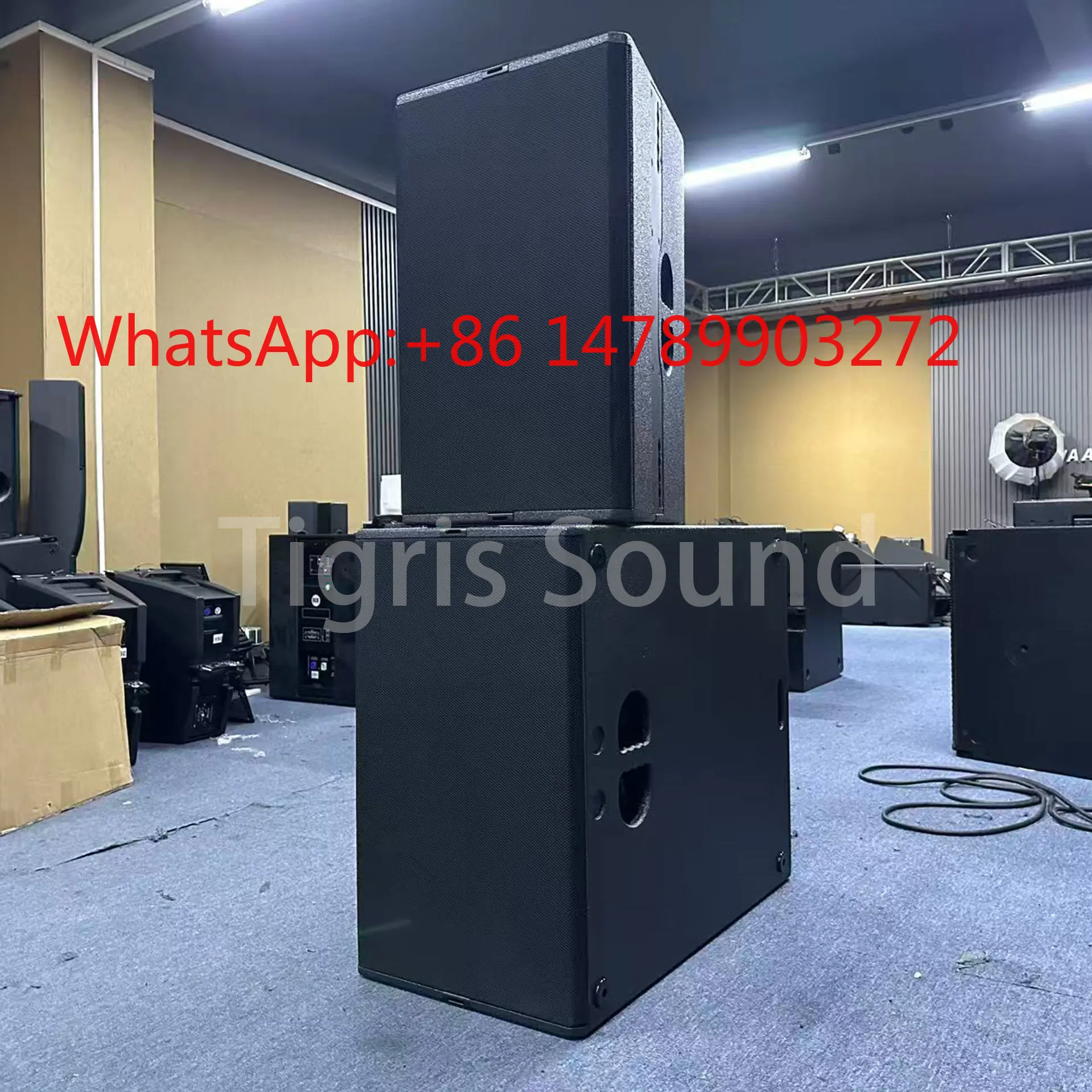 B30 Upgrade Dual15in Birch Subwoofer 4000W Peak for Outdoor Carnival DJ & Large Live Stage Bass