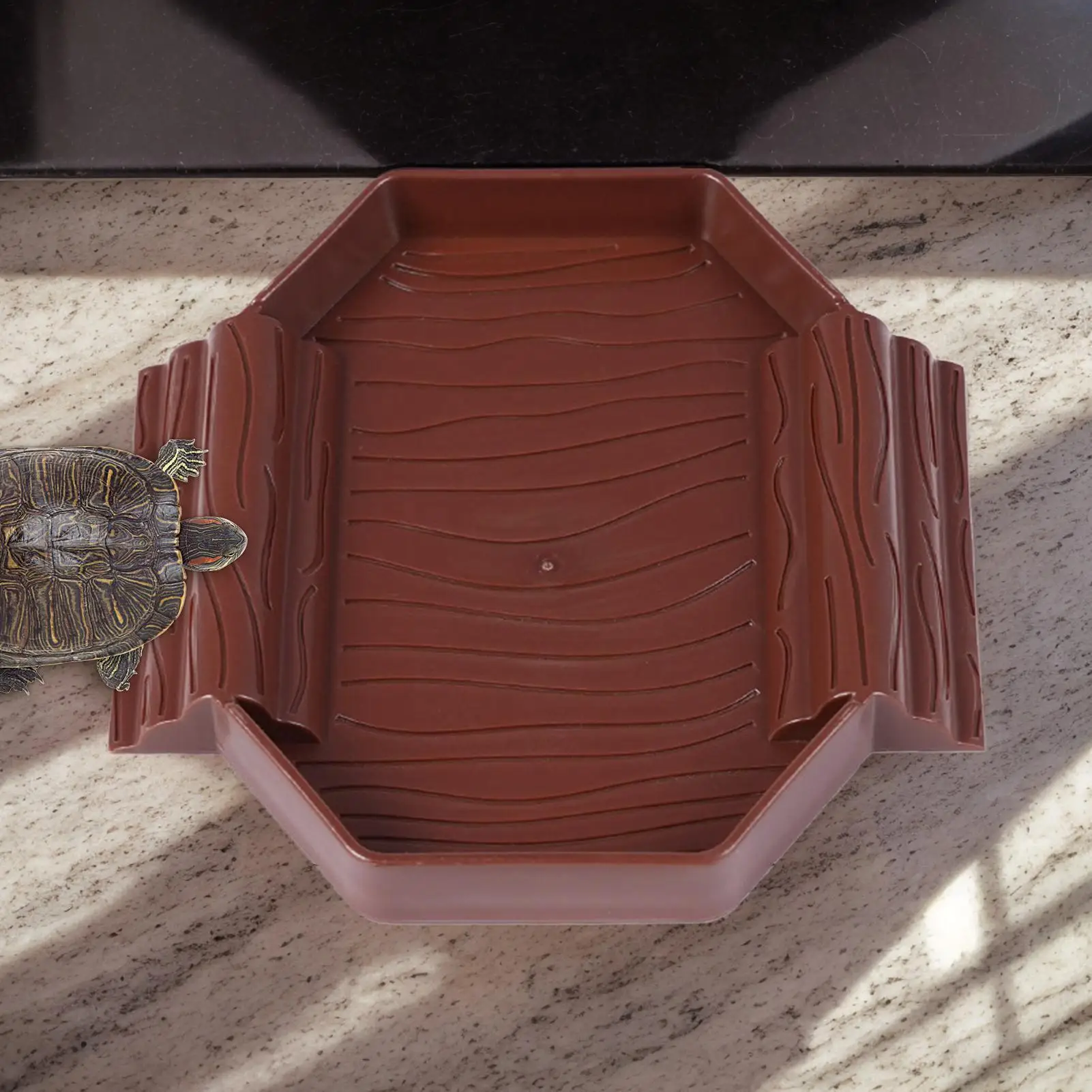 Thumbnail 4 - #10 Compare Reptile Water Bowls Before You Buy