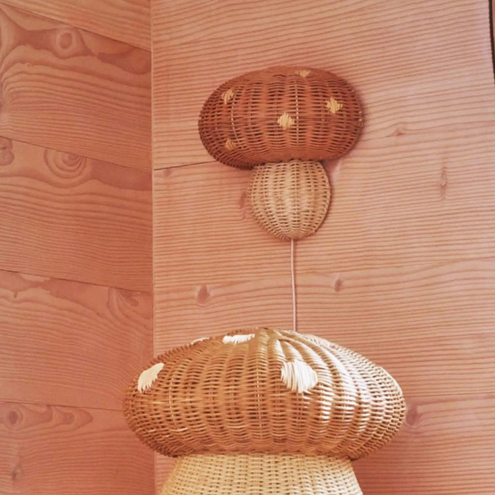 

Rattan Woven Lampshade Decorative Wall Mount Lamp Shade Lamp Bulb Cover for Study Areas Farmhouse Kids Room Bedrooms Decoration