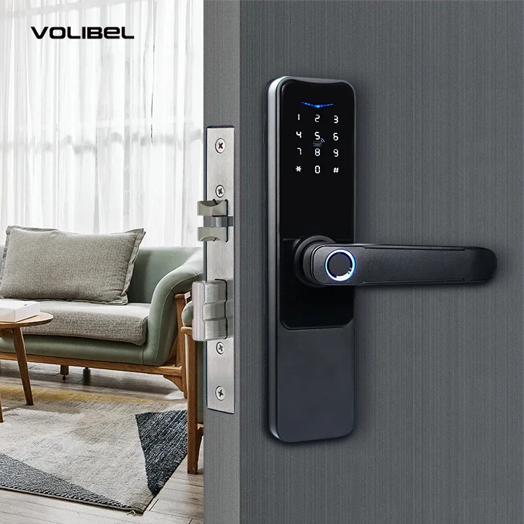 Brand New Waterproof Anti-theft High Recognition Fingerprint Password Screen Tuya TTlock Home Apartment Smart Lock