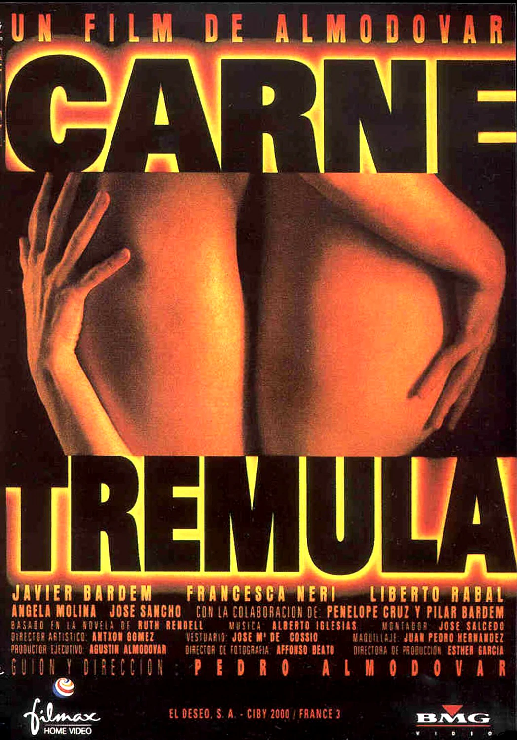 Hot Rare Movie Carne trémula (1997) Trembling Flesh / Live Flesh Art SILK POSTER Wall Art Home Decorative painting