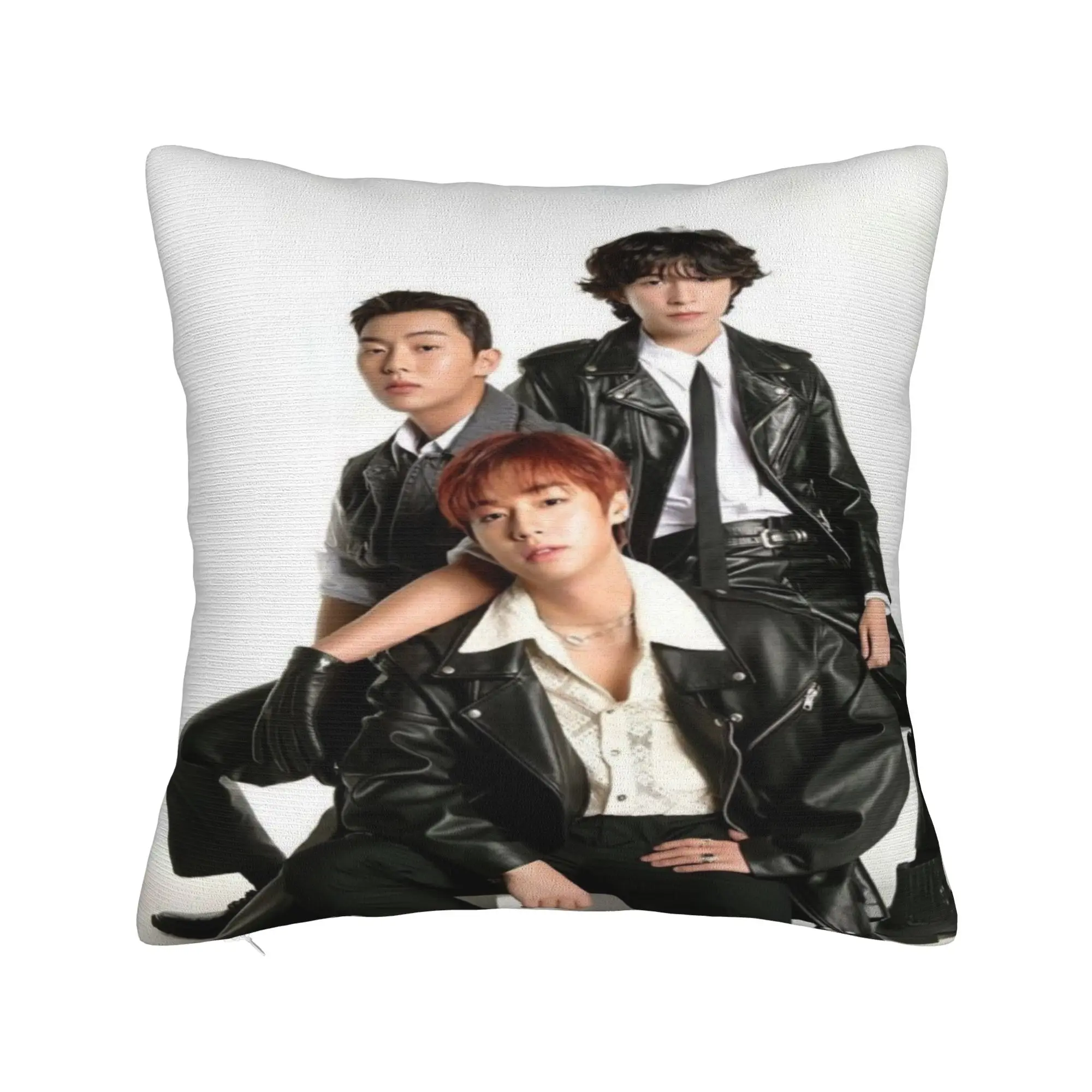Hot Kdrama Weak Hero Class Pillow Case  Soft Pillow Cover For Couch Sofa Bedroom Morden Cushion Cover