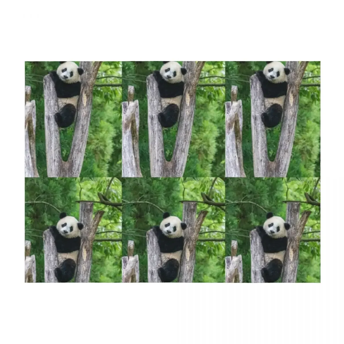 

Giant Panda Xiao Qi Ji at the Smithsonian's National Zoo Throw Blanket Thin Vintage For Decorative Sofa Blankets