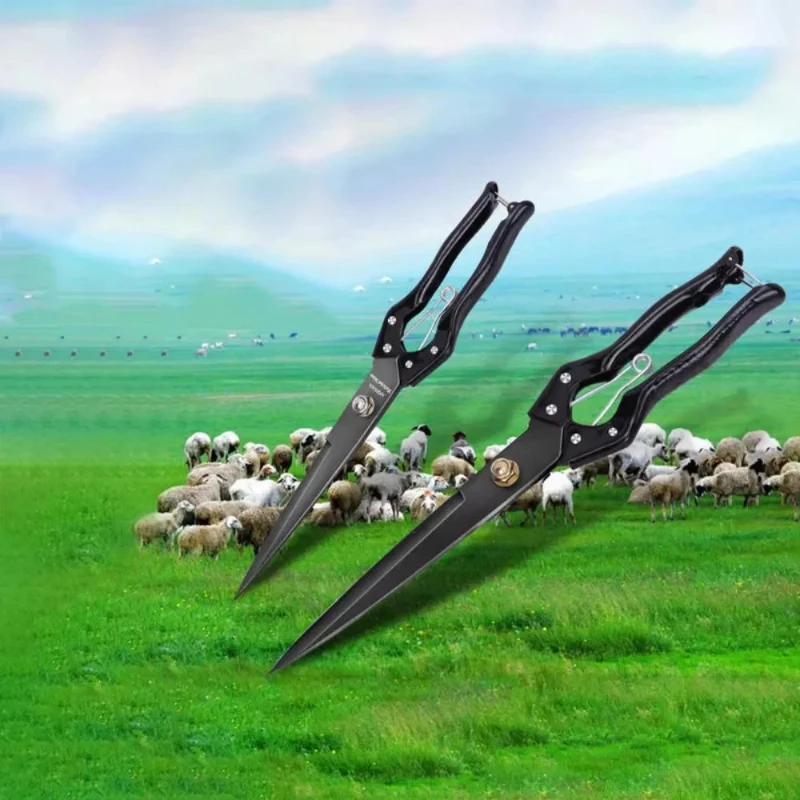 Manganese steel wool scissors, suitable for sheep, goats, alpacas. Large manual pruning scissors, garden weeding scissors