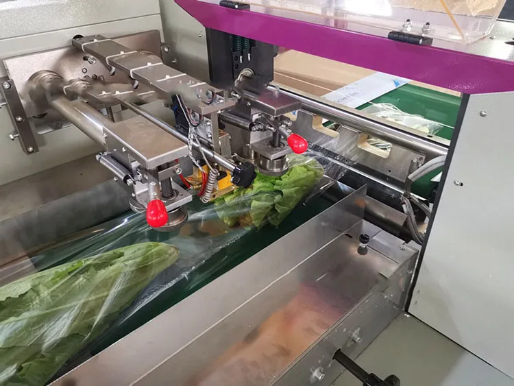 Automatic fruit and vegetable packing machine packing vegetable machine 600g