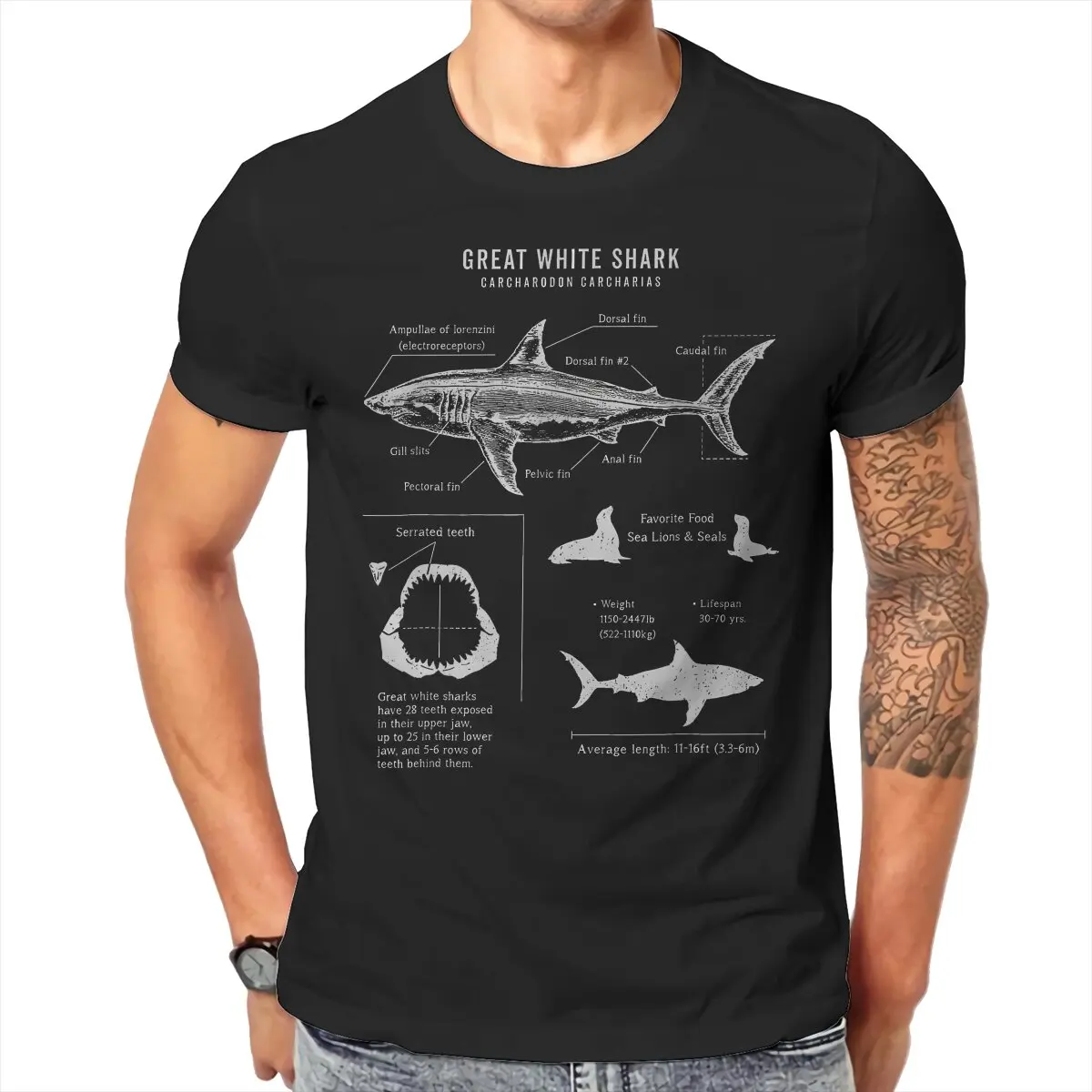 Great White Graphic TShirt Shark Scuba Diving Style Tops Comfortable T Shirt Men Short Sleeve Special Gift Idea