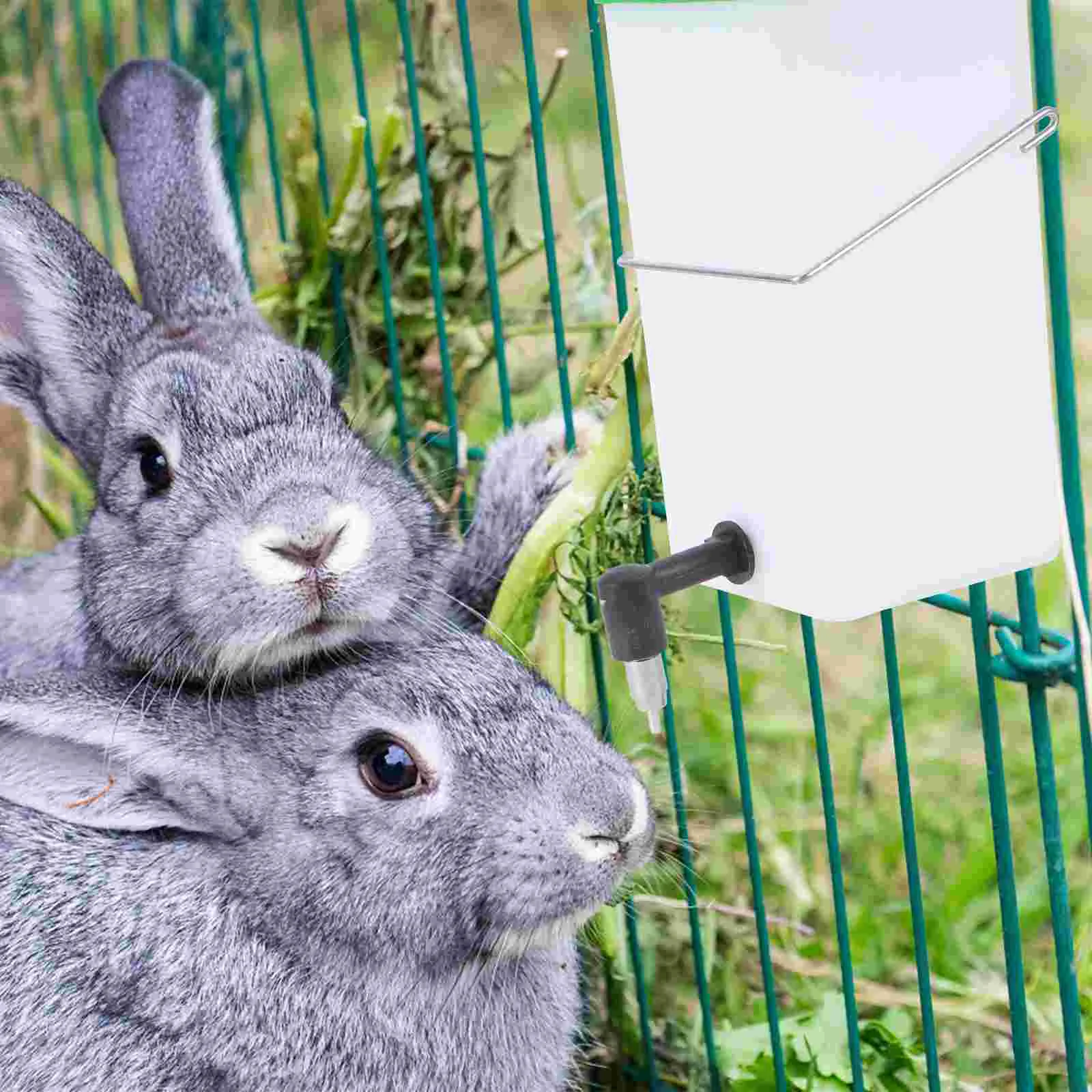Water Container Rabbit Fountain Pet Supplies Drinking Bowl Animal Tool Green Raising Baby