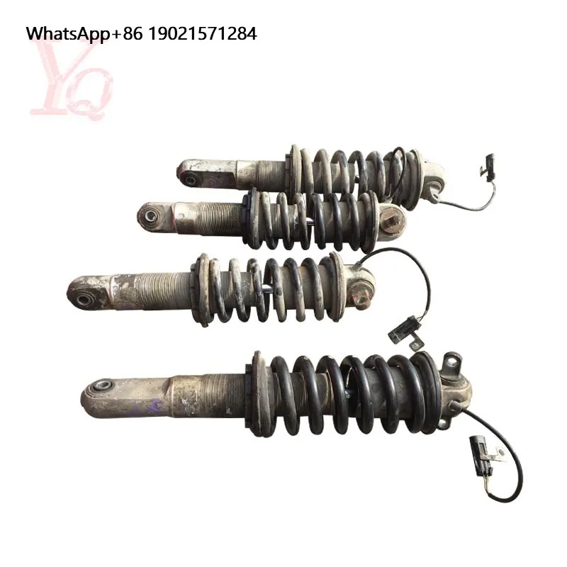 

Genuine Shock Absorber Strut W/Magnetic for Ferrari F430 Spider OEM 213396 190676 212543 190677