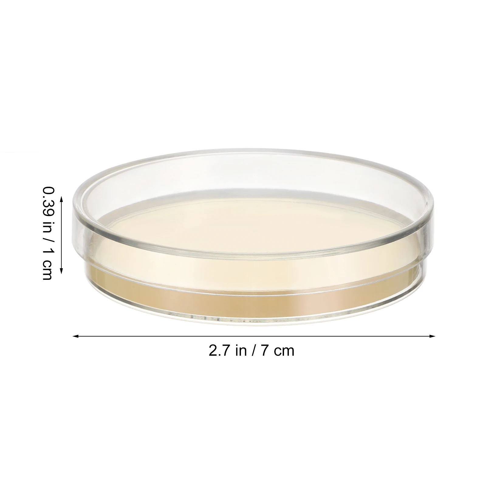 10pcs Prepoured Agar Plates Petri Dishes with Nutrition Agar Science Experiment Science Projects Petri Plate Laboratory Supplies