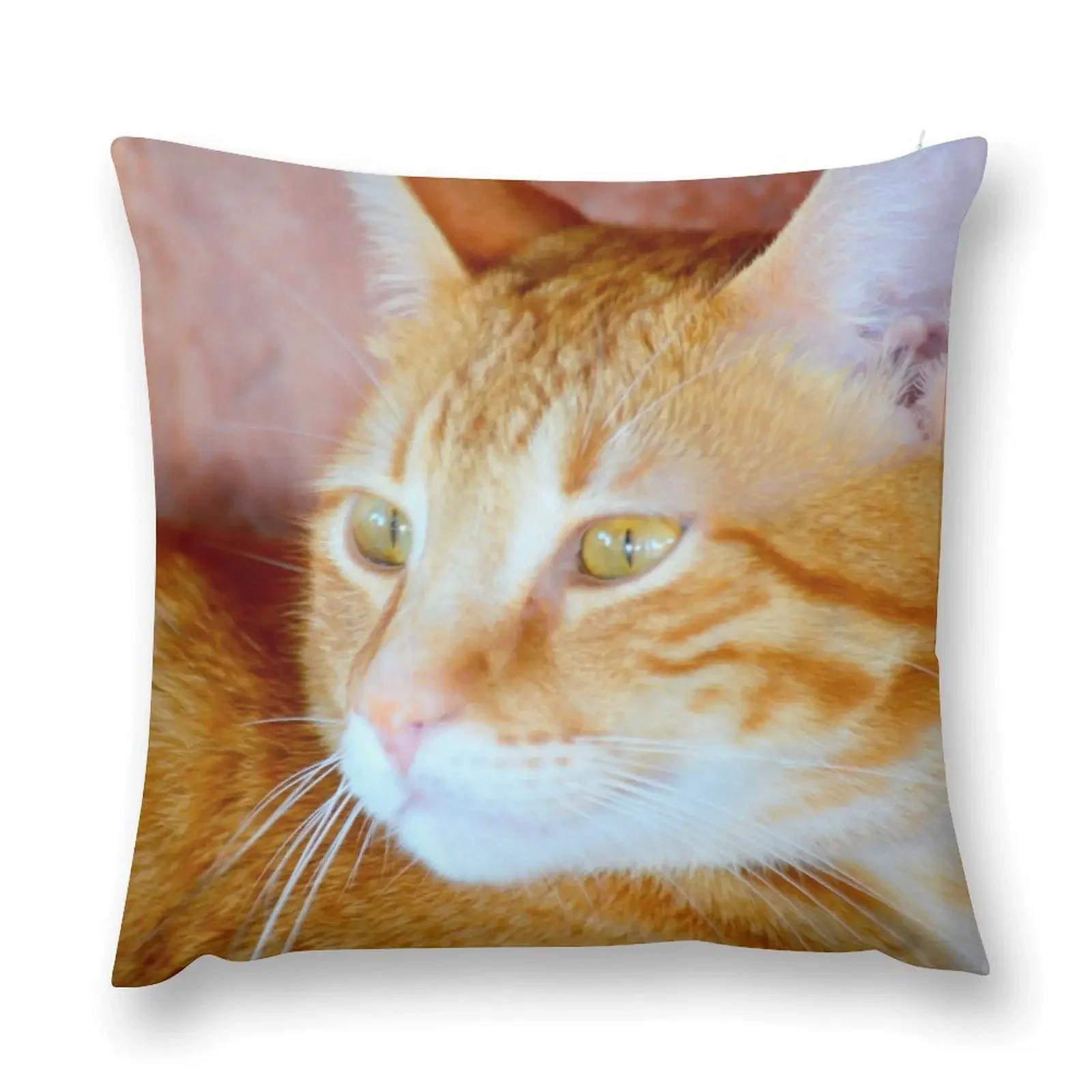 Cupid the Ginger Cat Throw Pillow pillow cover christmas autumn pillowcase Rectangular Cushion Cover pillow