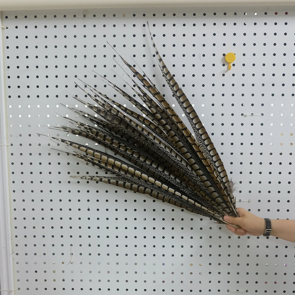 10pcs/lot Natural Pheasant Feathers for Crafts on The Head Extensions 10-60cm Long Feather Tail Carnival Accessories Decoration