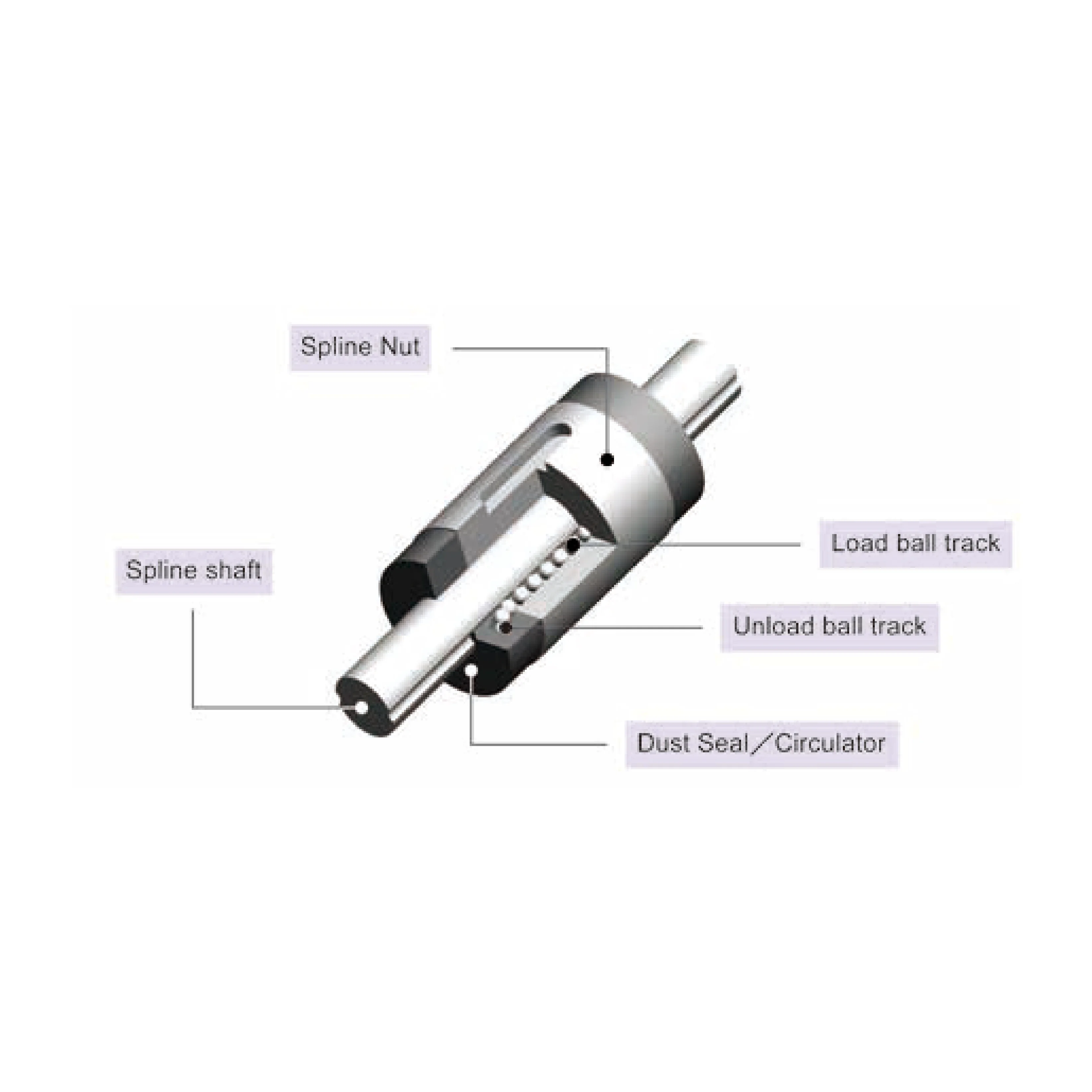 High Speed Spline Shaft Linear Ball Spline Sleeve Type/Flange Type Rotary Hollow Solid Ball Spline SLT025