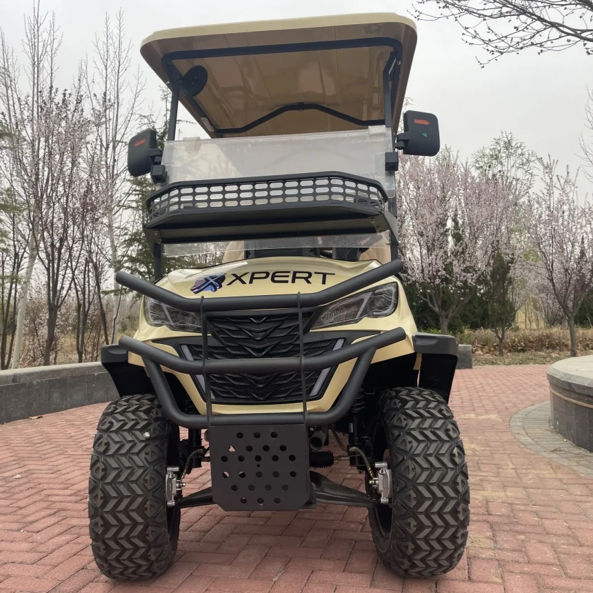 

2025 New Design Free Custom Color Lithium Battery Powered Electric Sightseeing Street Legal Vehicles Adult Electric Golf Cart