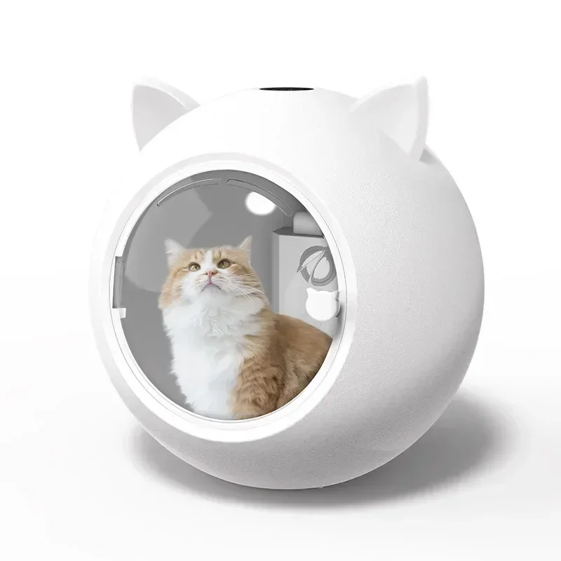 

Cat Dryer Smart Pet Drying Box Household Fully Automatic Silent Small Dog Bathing and Hair Blowing Machine Pet Hair Dryer