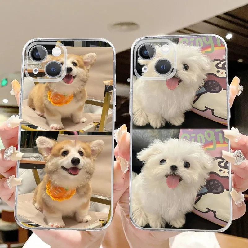

Funny Cartoon Puppy Corgi Dog Phone Case For iPhone 16 15 11 12 14 13 Pro Max Mini X XSM XR 7 8 Plus SE4 16e Cute Covers Fundas