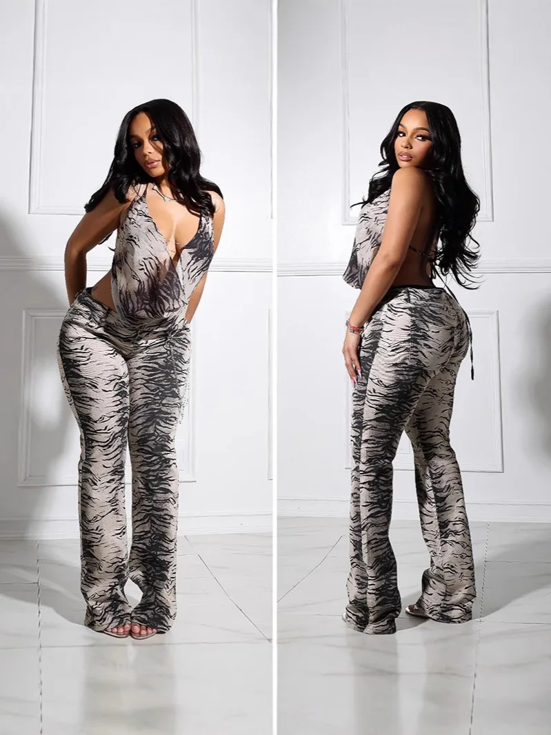 

Sexy Backless Zebra Print Mesh Top Two Piece Set Sheer Zebra Print Matching Set High Waist Pants Set Slim Fit Women's Co Ord