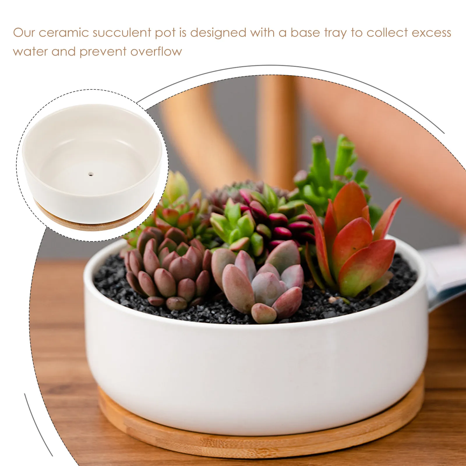 Ceramic Succulent Pot with Drain Holes and Matching Tray for Indoor Office Balcony Home Decor Small Plants Herbs Bonsai Cactus