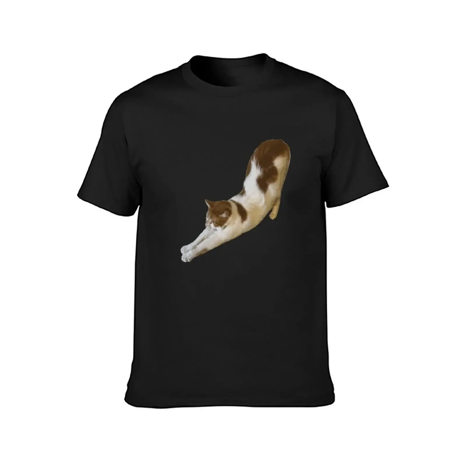 Cat Called Pumpkin Big Stretch! T-Shirt boys animal print graphics mens champion t shirts