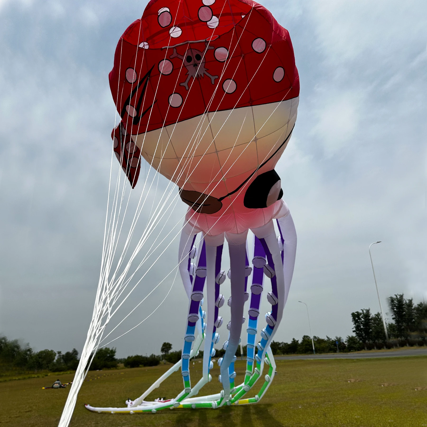 9KM 20m Piraat Octopus Kite Line Wasserij Hanger Zachte Opblaasbare Show Kite voor Kite Festival Ripstop Nylon met tas