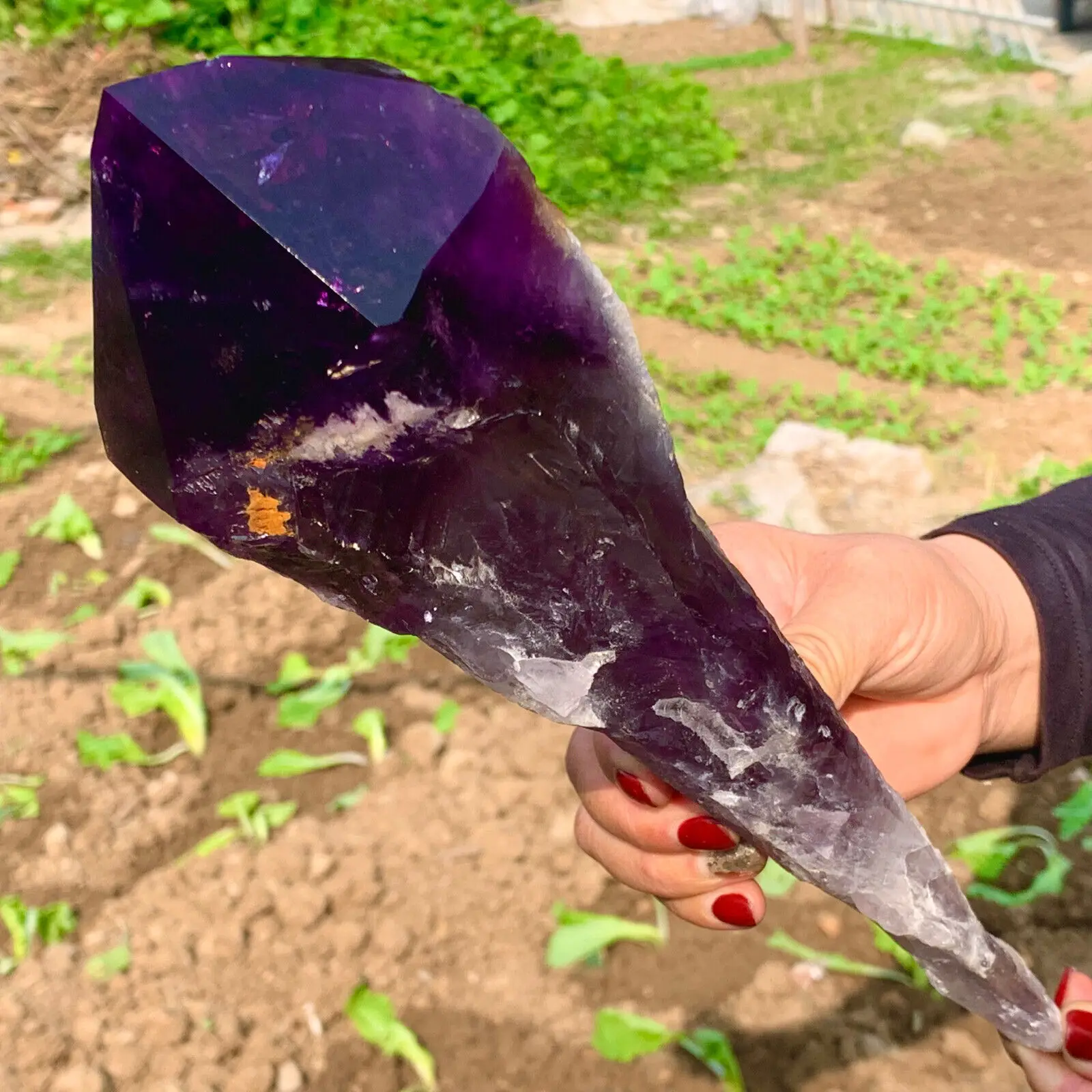 

Top Natural Amethyst Scepter Healing Specimen