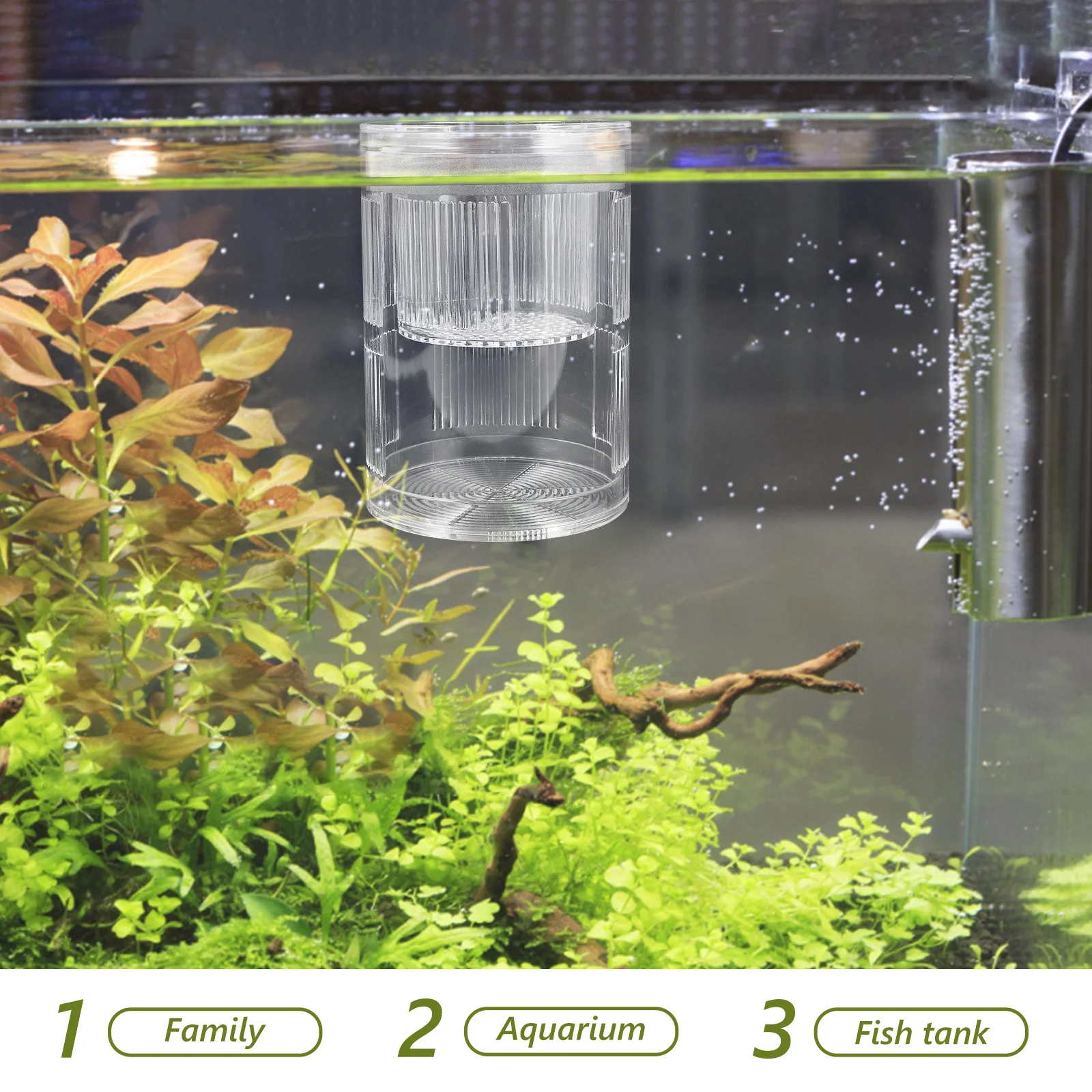 

Acrylic Floating Fish Hatchery Box Aquarium Breeding Divider Isolation Chamber Incubator Betta Guppy Shrimp Small Fish Incubator