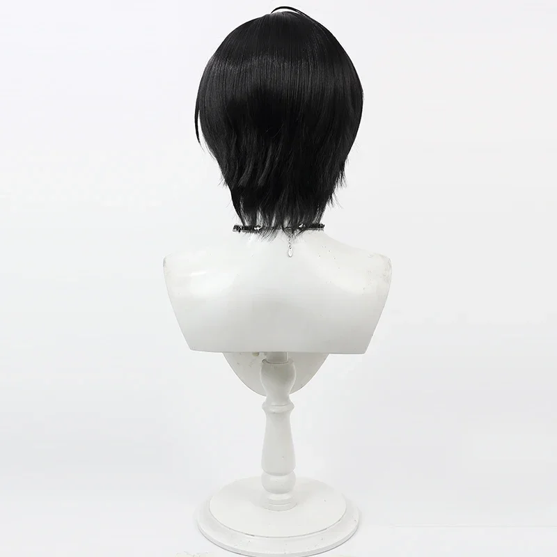 No Girls Cyberspace Suo Su Fang Parrucca Cosplay Gioco Anime Gioco di ruolo Halloween Party Performance Capelli sintetici