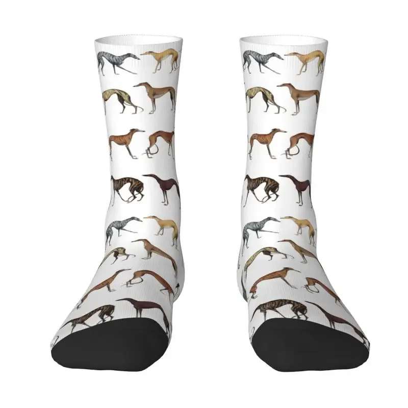 Cute Whippet Sighthound Dog Dress Socks Mens Womens Warm Fashion Greyhound Hound Crew Socks