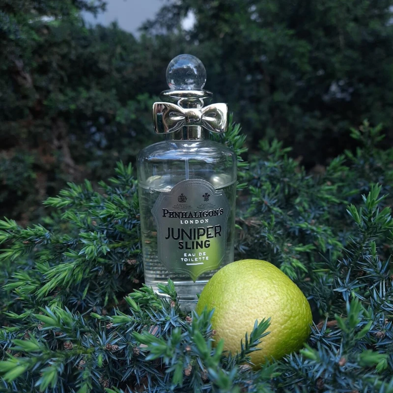 

100ml Elegant Unisex Eau De Parfum Long Lasting Exclusive Niche Aroma with Woody Spicy Floral Nuances Unique Distinctive Scent