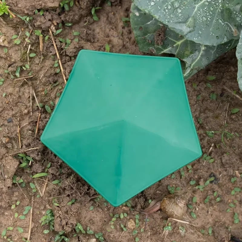 Pentagonal Snail Traps for Vegetable Gardens & Succulents Plastic Slug Traps Physical Insect Control for Home Garden image 6