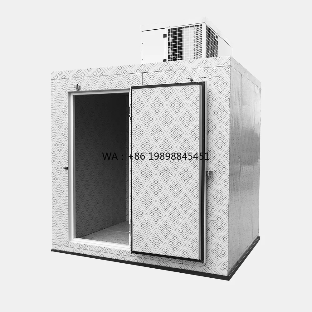 Freezer 40Ft 20Ft 10Ft Cold Room with Refrigeration Unit Panel Factory Commercial Cold Room Quick Freezer Container
