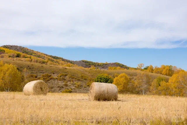 

qing Digital Cluster Lcd Dashboard Player Cockpit Linux System For( Porsche Cayenne 2011 -2017) Virtual Instrument