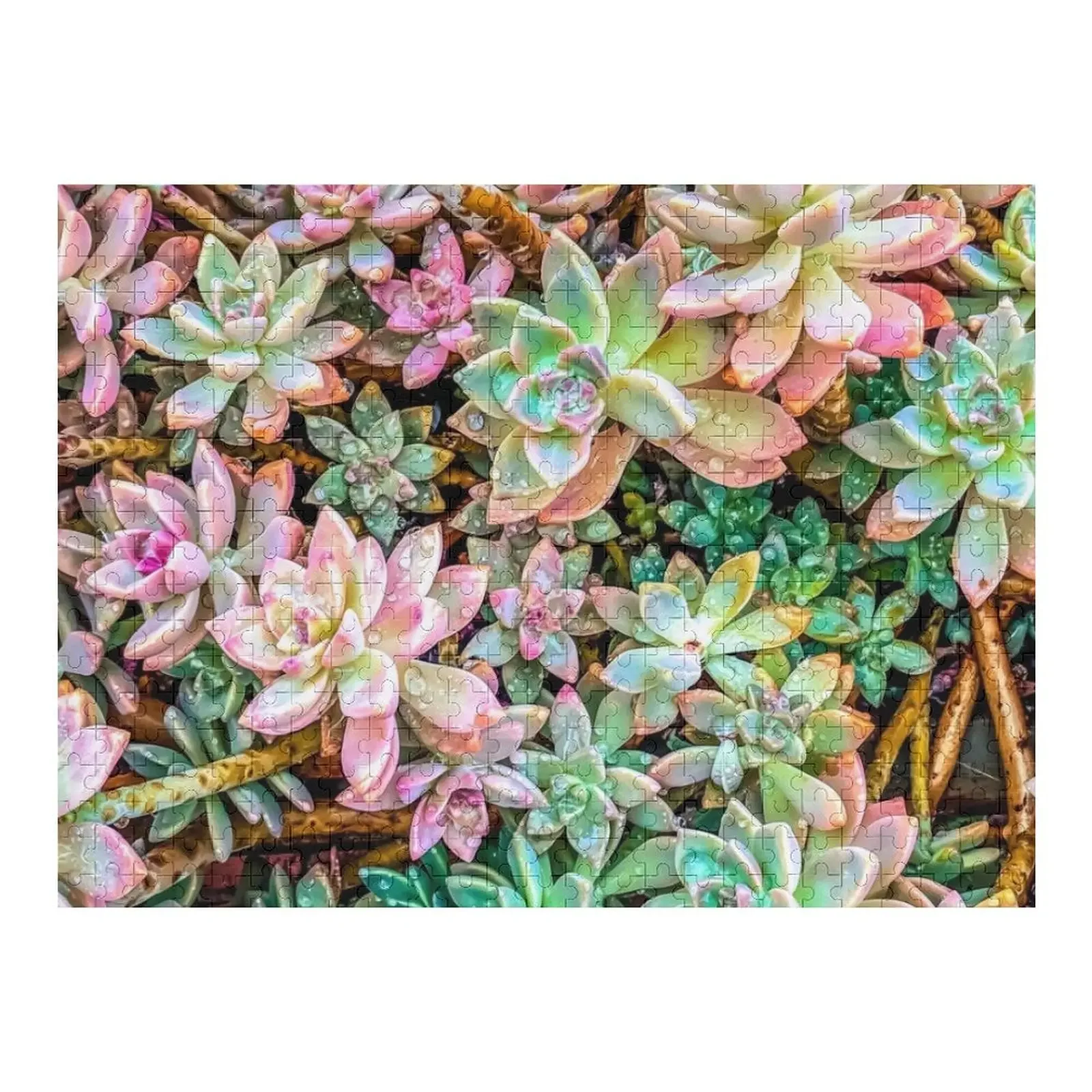 

green and pink succulent plant garden Jigsaw Puzzle With Personalized Photo Christmas Toys Animal Puzzle
