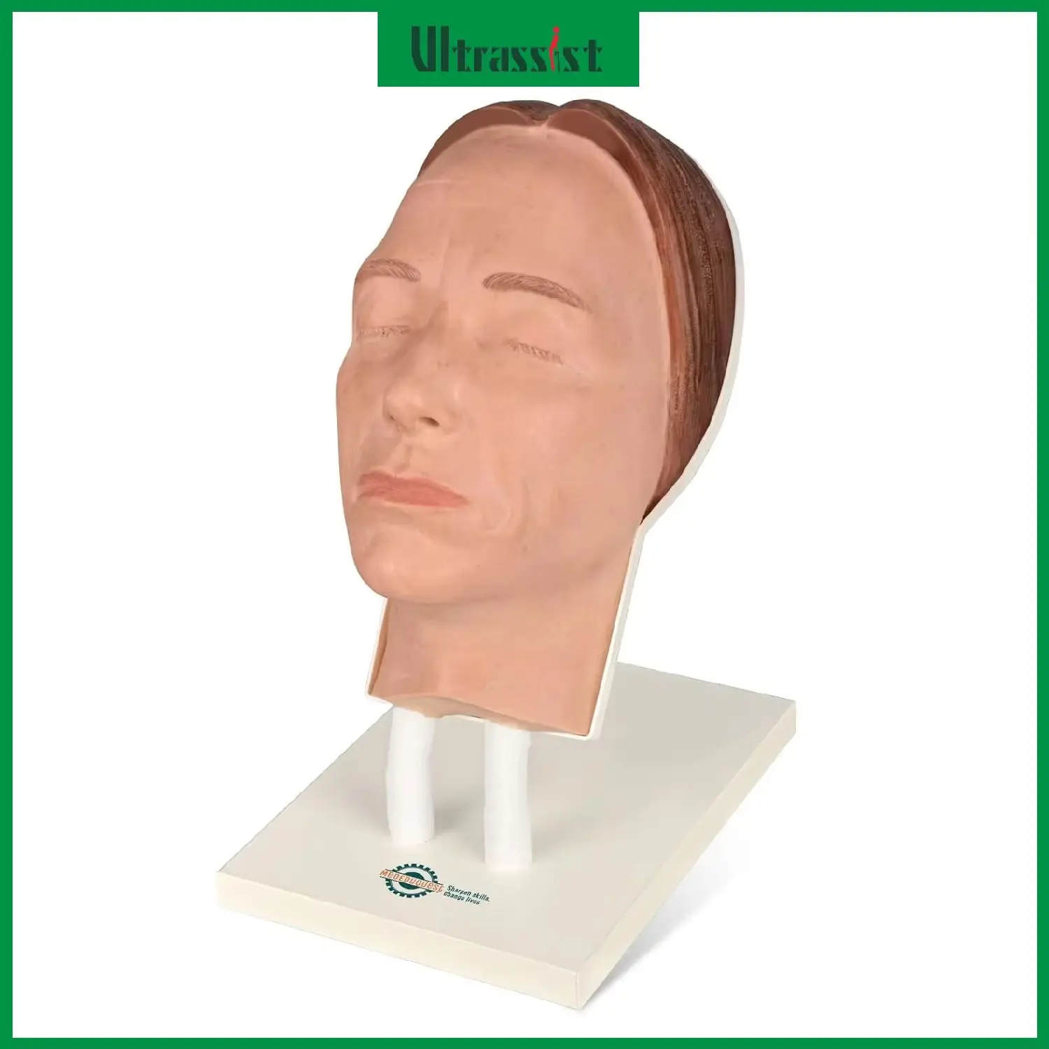Ultrassist Silicone Face Model Mannequin Face Injection Training for Esthetician Facial Micro-Plastic Medical Student Practice