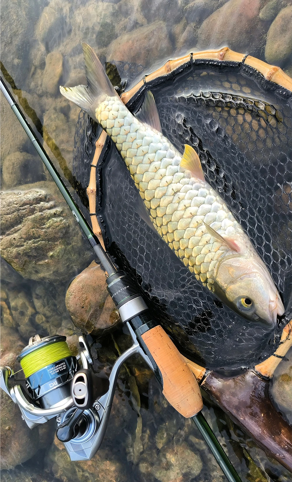 TSURINOYA METAL Spinnrolle MERLIN 1000 C2000S 165g Baitcast-Rolle ULTRALEICHT & VIELSEITIG Salzwasser-Bass-Hechtrolle – Detail 30