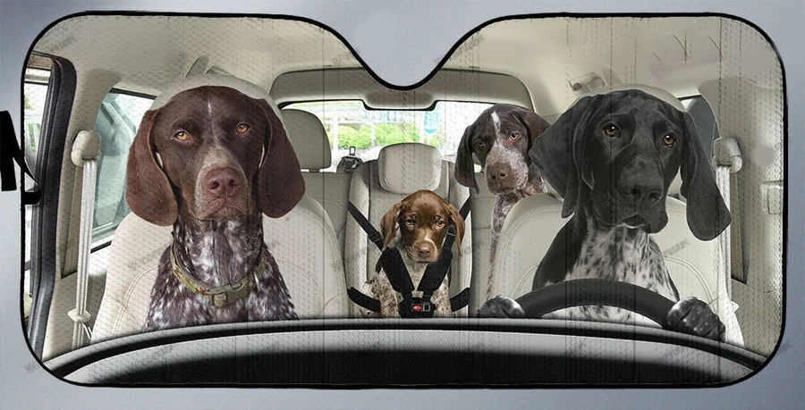 Three German shorthaired pointer dogs driving dog lover car sunshade German shorthaired pointer lover car window sunshade