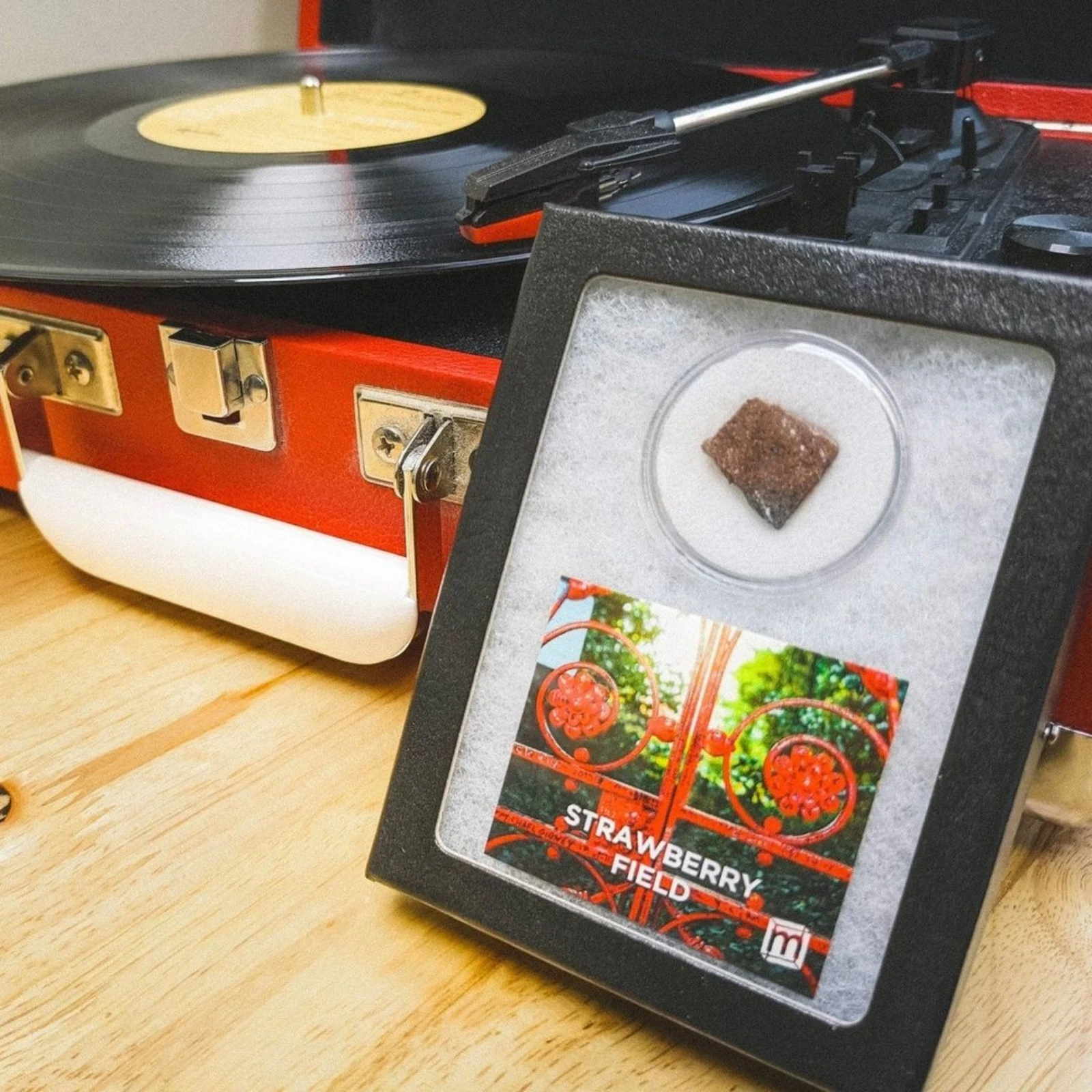 The Beatles Real Specimen Mini Ornament Collection