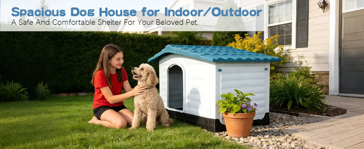 dog house