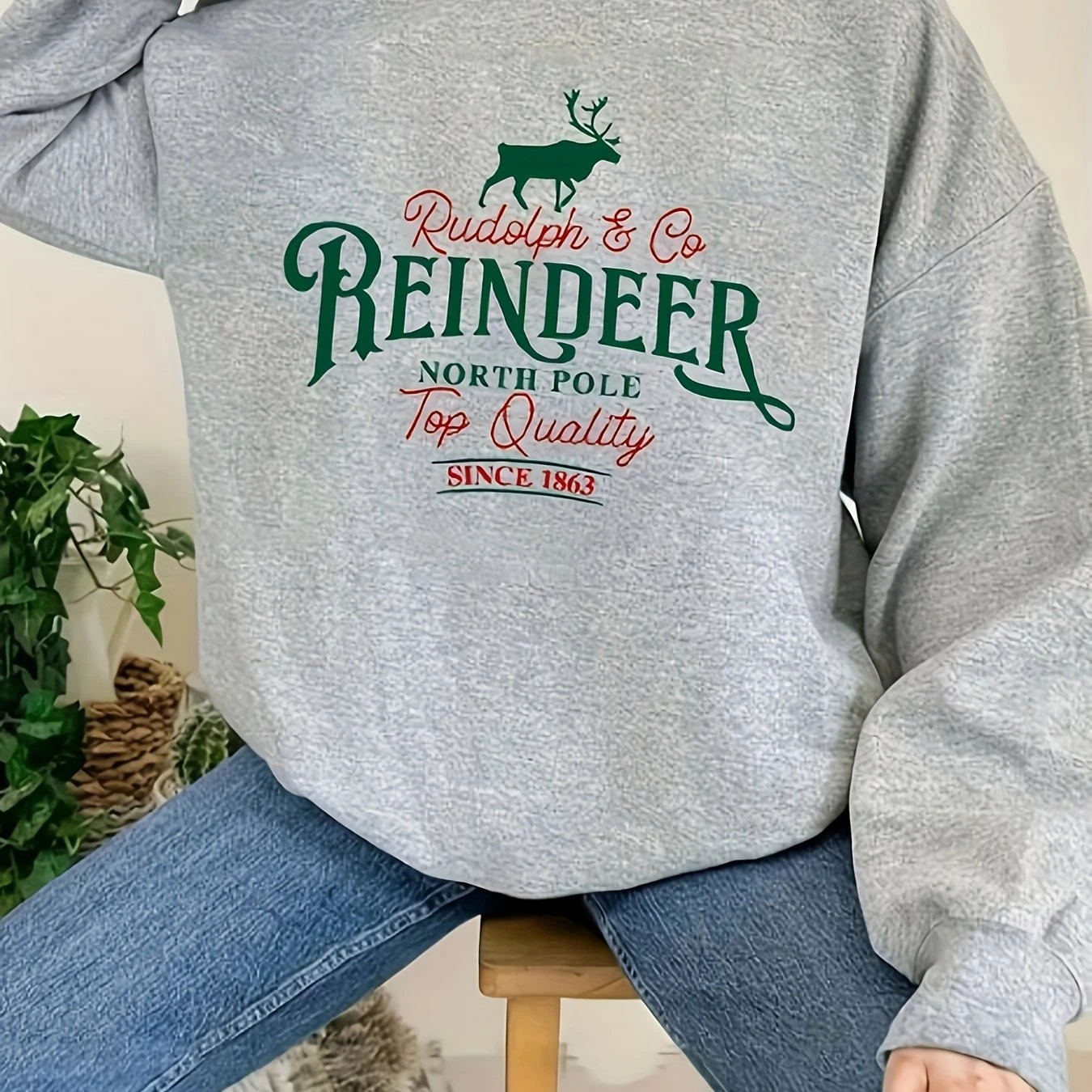 Cozy Winter Christmas Print Sweatshirt Long Sleeve Crew Neck Casual Womens Clothing For Holiday Season Festive Red Green Pattern