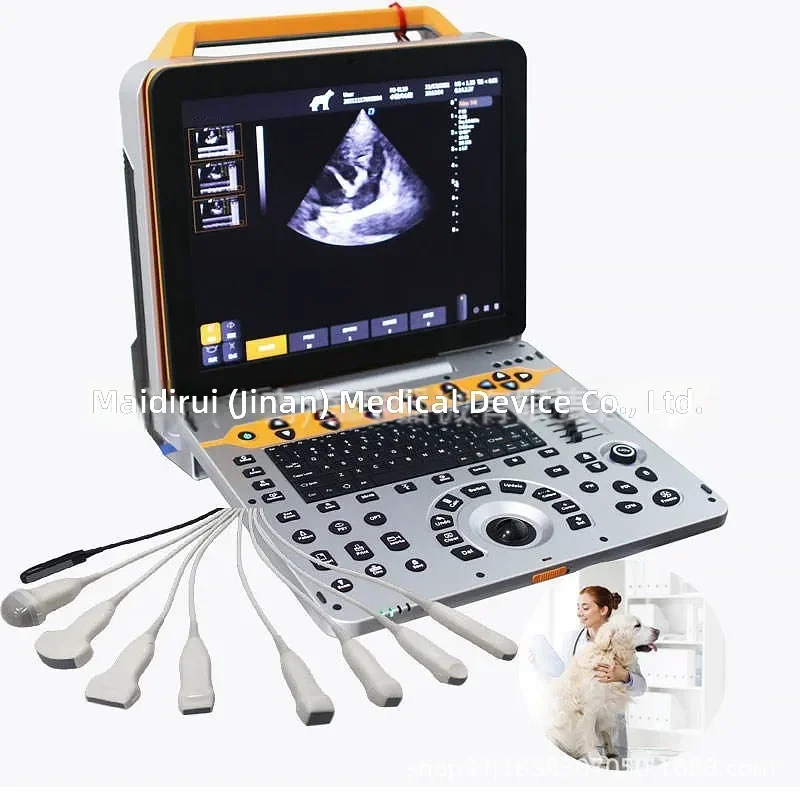 Modern Medical P60vet Portable Digital Veterinary Scanner with 3D Diagnostic System for Animal